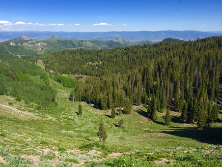 Enlarge photo 35