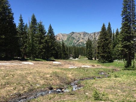 Enlarge photo 42