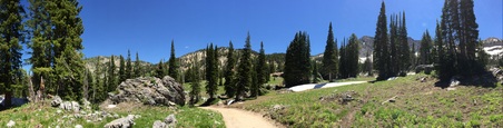 Enlarge photo 52