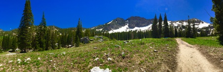 Enlarge photo 53