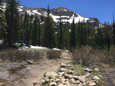 Enlarge photo 57