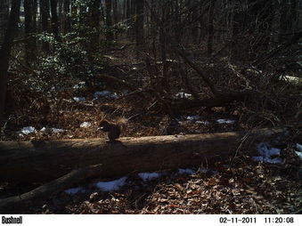 Enlarge photo 77