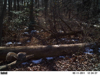 Enlarge photo 78