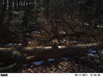 Enlarge photo 79