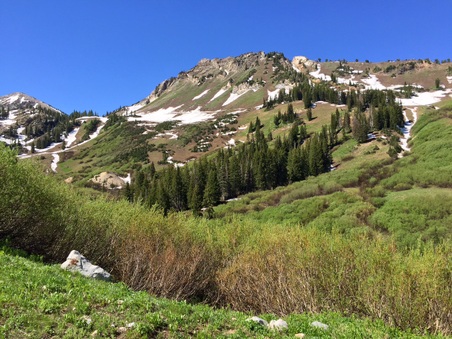 Enlarge photo 28