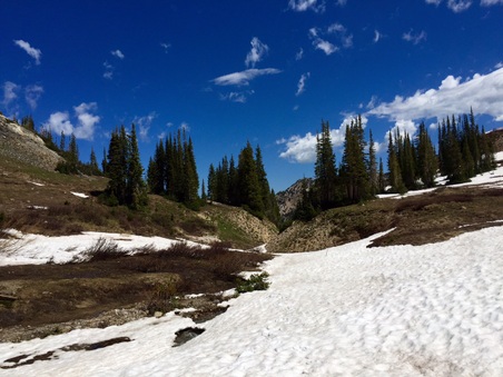Enlarge photo 33