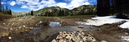 Enlarge photo 4