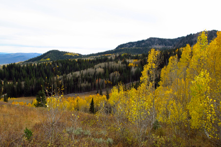 Enlarge photo 197