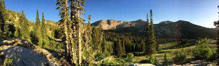 Enlarge photo 1081