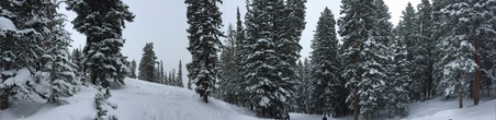 Enlarge photo 762