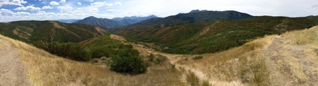 Enlarge photo 122