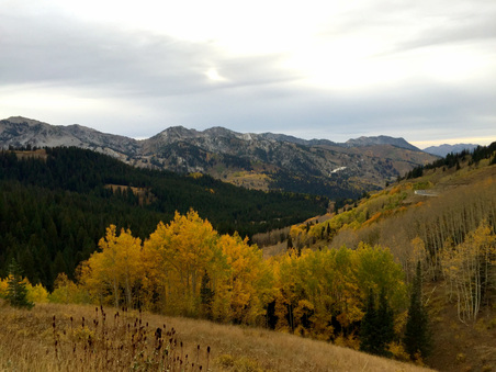 Enlarge photo 167