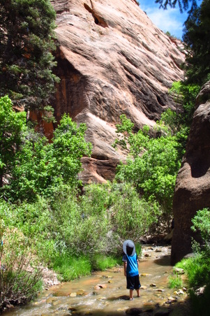 Enlarge photo 1006