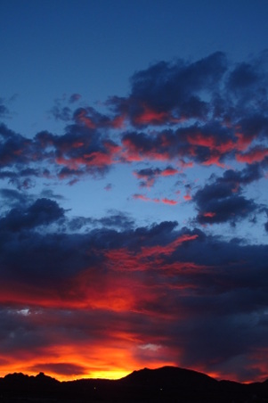 Enlarge photo 1038