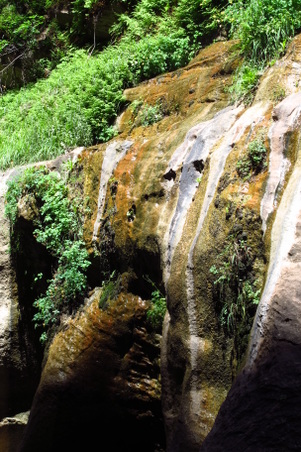 Enlarge photo 1051