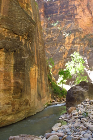 Enlarge photo 1054