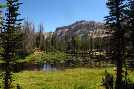 Enlarge photo 1106