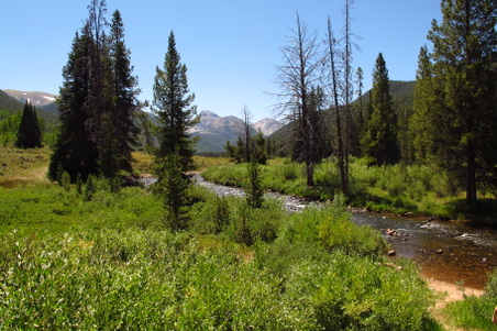Enlarge photo 1110