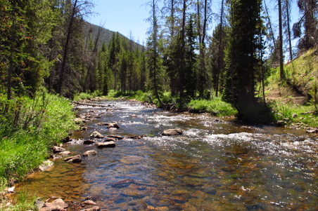 Enlarge photo 1122