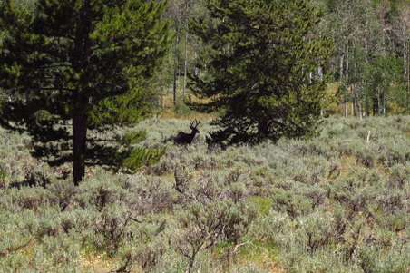 Enlarge photo 1125