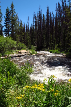 Enlarge photo 1128
