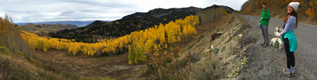 Enlarge photo 189