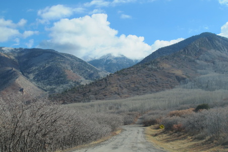 Enlarge photo 1185
