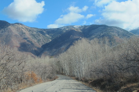Enlarge photo 1186