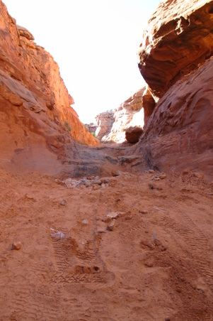 Enlarge photo 1223
