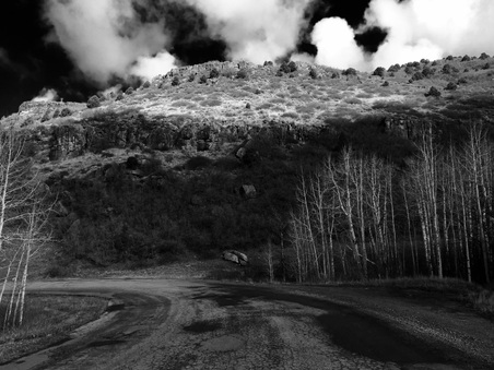 Enlarge photo 1291