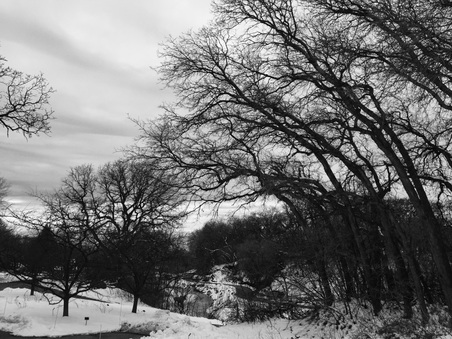 Enlarge photo 1342