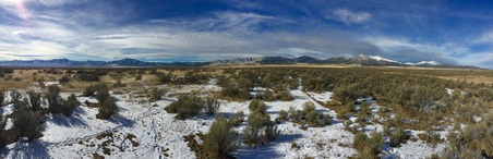 Enlarge photo 1367