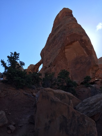 Enlarge photo 545
