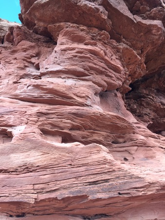 Enlarge photo 633