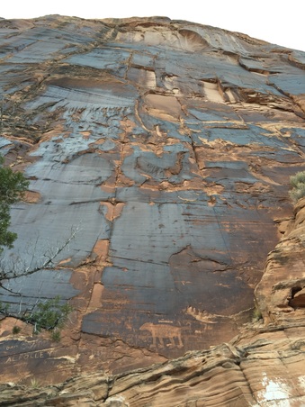 Enlarge photo 702