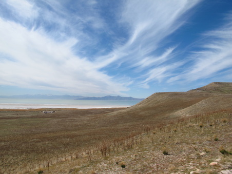 Enlarge photo 16