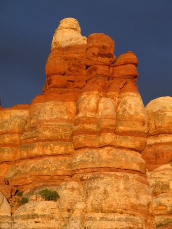 Enlarge photo 45