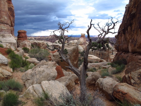 Enlarge photo 60