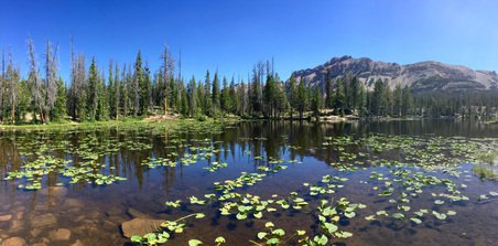 Enlarge photo 1091