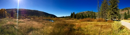 Enlarge photo 138