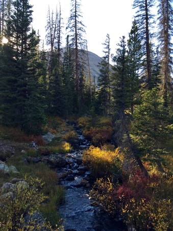 Enlarge photo 155