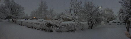 Enlarge photo 764