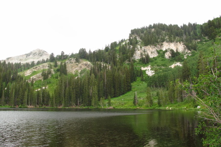 Enlarge photo 1068