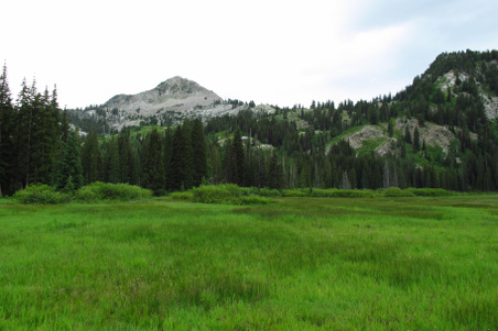 Enlarge photo 1069