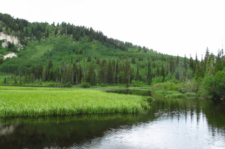 Enlarge photo 1070
