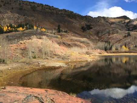 Enlarge photo 240