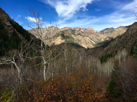 Enlarge photo 340