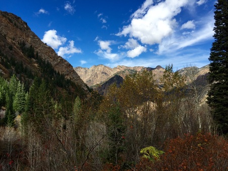 Enlarge photo 341