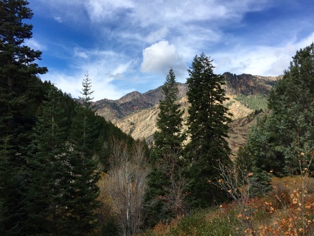 Enlarge photo 343