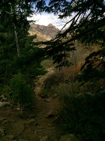 Enlarge photo 344